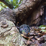 I'll See You Again Challenge Coin